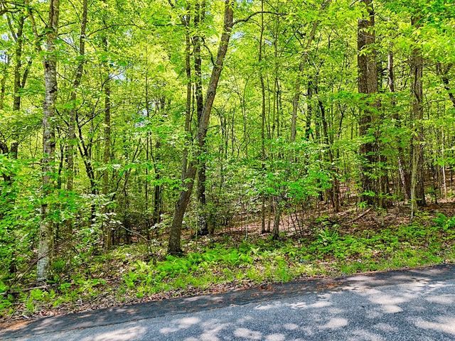 Lots 3&5 Cozy Cove Road, Blairsville, GA 30512