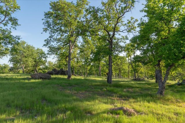 6399 Filly Ln, Angels Camp, CA 95222