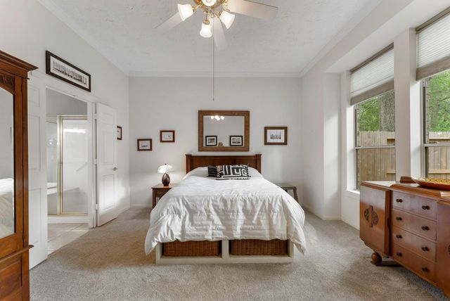 74 Shannon Green Court, The Woodlands, TX 77384