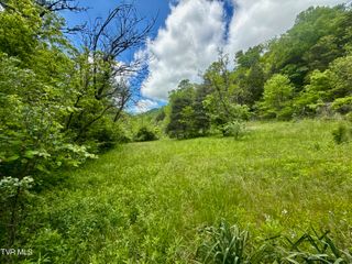 47/Ac Tbd Enoch Rd, Eidson, TN 37731