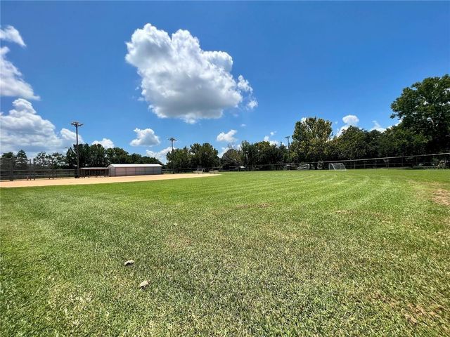 16915 CUMBERMOORE LANE, Umatilla, FL 32784