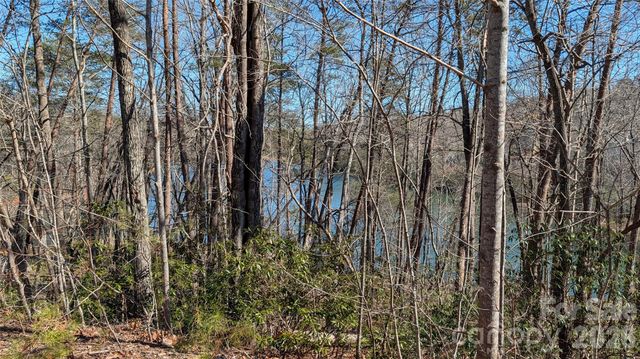 0 Lakewood Drive, Lake Lure, NC 28746