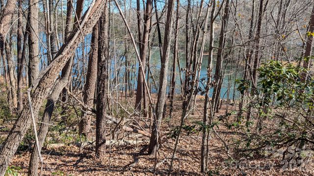 0 Lakewood Drive, Lake Lure, NC 28746