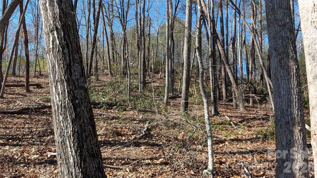 0 Lakewood Drive, Lake Lure, NC 28746