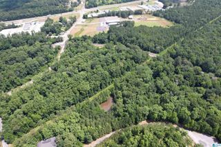 0 WEATHERTON TRAIL, Harpersville, AL 35078