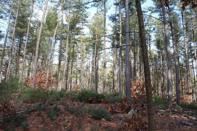 Lot 14 Center Street, Palmer, MA 01069