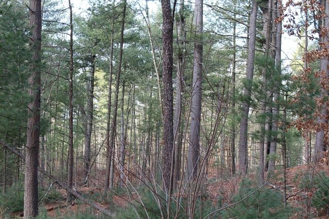 Lot 14 Center Street, Palmer, MA 01069