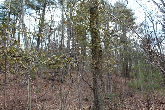 Lot 14 Center Street, Palmer, MA 01069