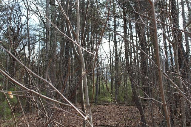 Lot 14 Center Street, Palmer, MA 01069