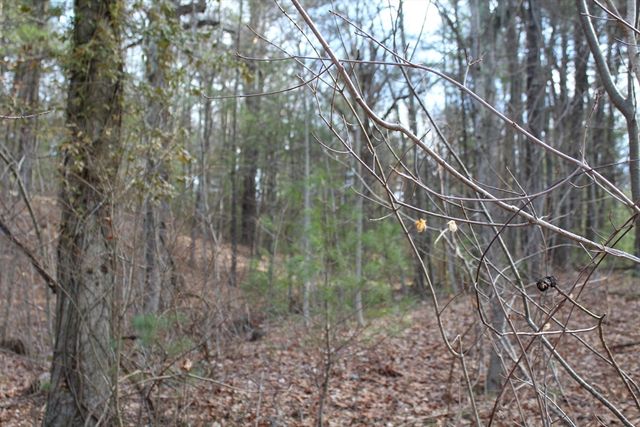 Lot 14 Center Street, Palmer, MA 01069