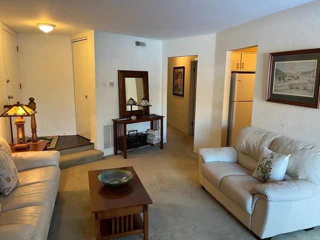1607 Thames Court D, Wheaton, IL 60189