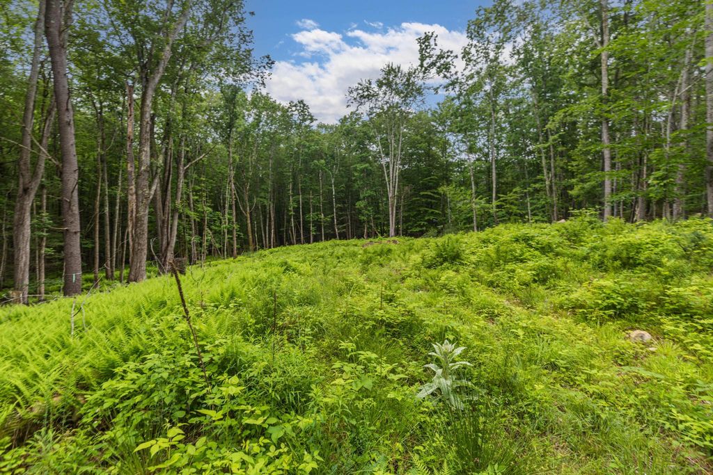 Lot 5 Stonecrop Farm Lane, Eliot, ME 03903 — photo 5