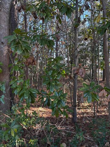 TBD Mineola Ave., Little River, SC 29566