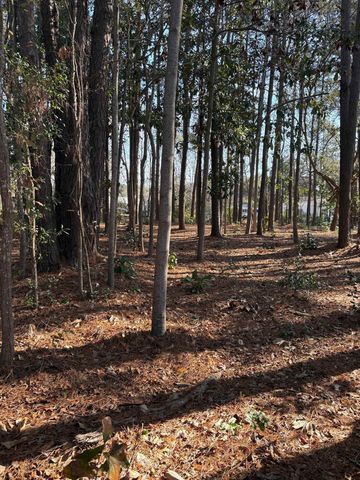 TBD Mineola Ave., Little River, SC 29566
