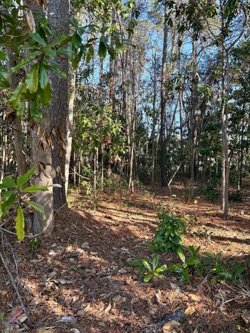 TBD Mineola Ave., Little River, SC 29566