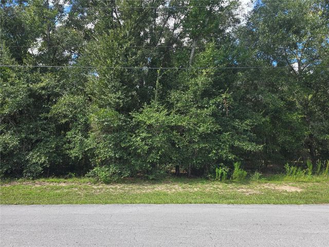 366 S SAVARY AVENUE, Inverness, FL 34453
