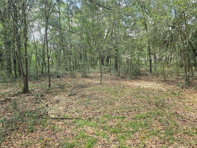 366 S SAVARY AVENUE, Inverness, FL 34453