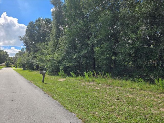 366 S SAVARY AVENUE, Inverness, FL 34453