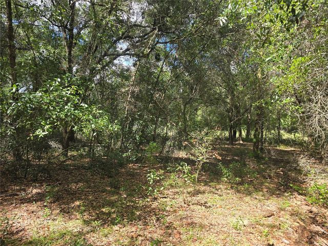 366 S SAVARY AVENUE, Inverness, FL 34453