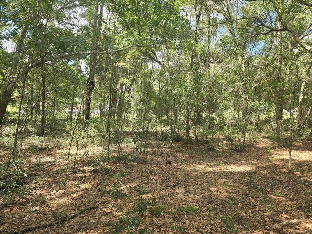 366 S SAVARY AVENUE, Inverness, FL 34453