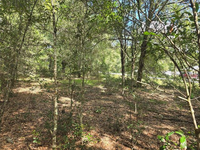 366 S SAVARY AVENUE, Inverness, FL 34453
