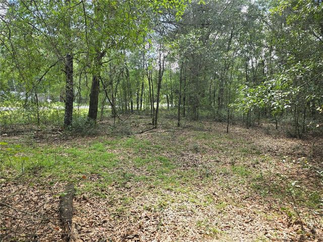 366 S SAVARY AVENUE, Inverness, FL 34453