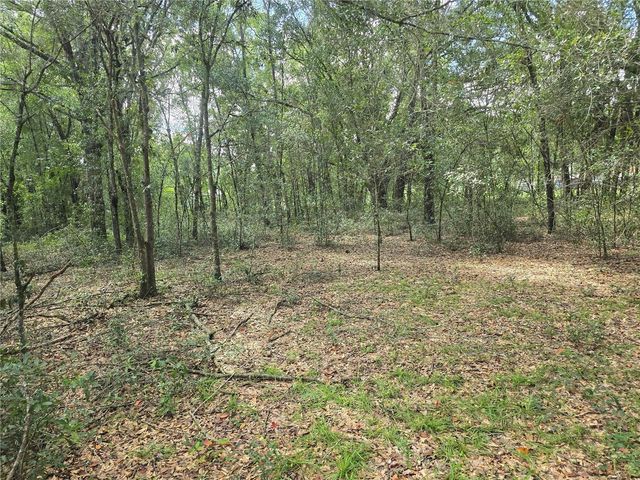 366 S SAVARY AVENUE, Inverness, FL 34453