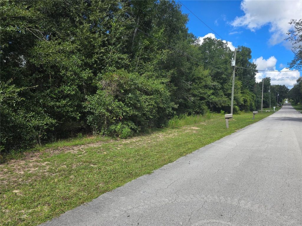 366 S SAVARY AVENUE, Inverness, FL 34453