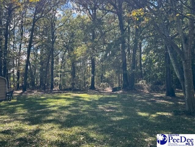 925 Bayberry Circle, Hartsville, SC 29550