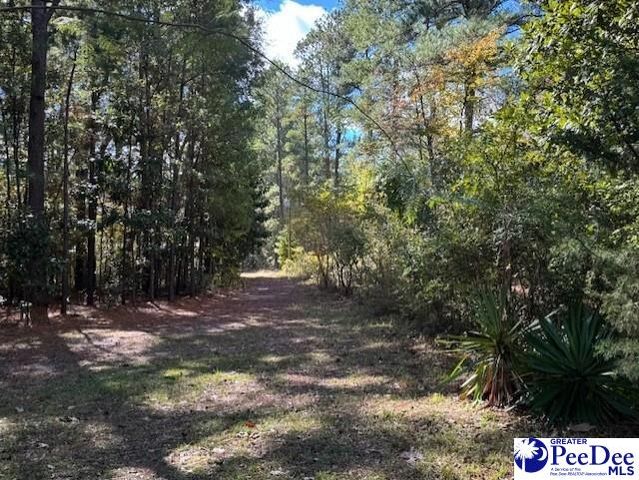 925 Bayberry Circle, Hartsville, SC 29550