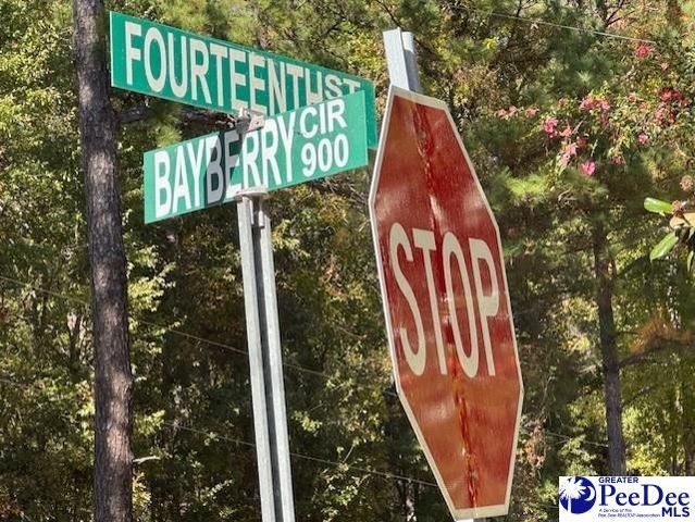 925 Bayberry Circle, Hartsville, SC 29550