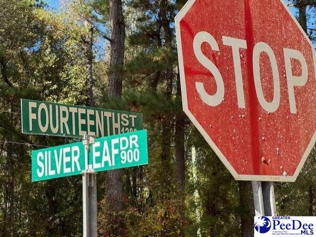 925 Bayberry Circle, Hartsville, SC 29550