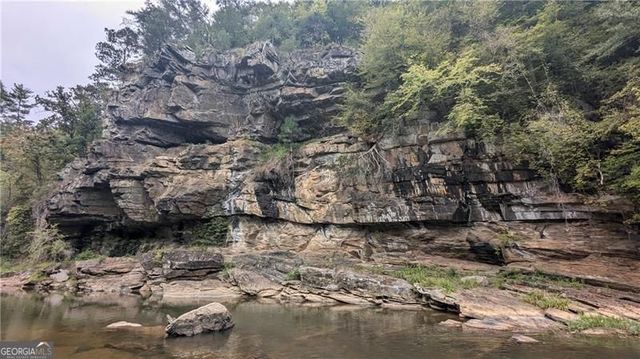 1328 Birch Lane, Ranger, GA 30734