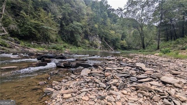 1328 Birch Lane, Ranger, GA 30734