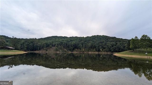 1328 Birch Lane, Ranger, GA 30734