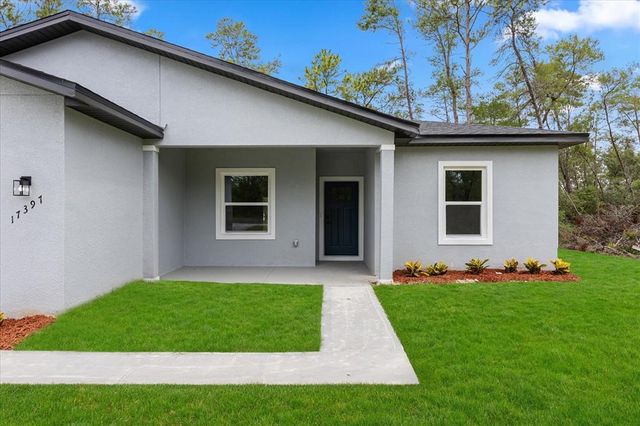 17397 SW 41ST CIR, Ocala, FL 34473