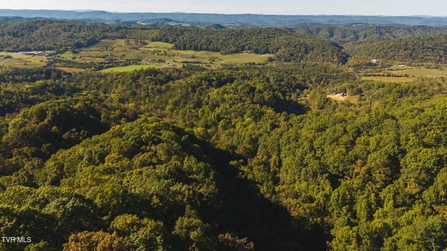 69.26 Acre Wolfe Road, Sneedville, TN 37869