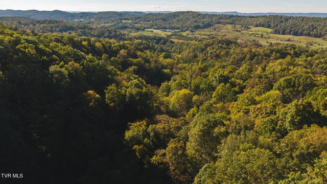 69.26 Acre Wolfe Road, Sneedville, TN 37869