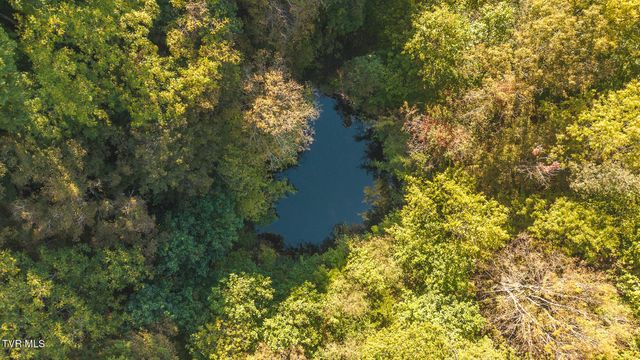 69.26 Acre Wolfe Road, Sneedville, TN 37869