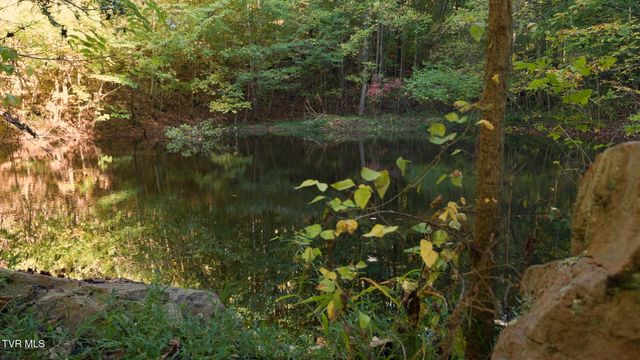 69.26 Acre Wolfe Road, Sneedville, TN 37869