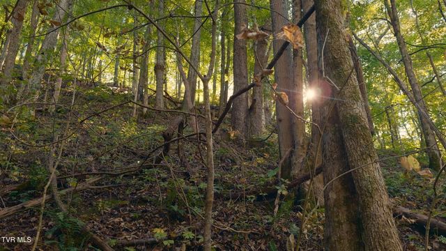 69.26 Acre Wolfe Road, Sneedville, TN 37869