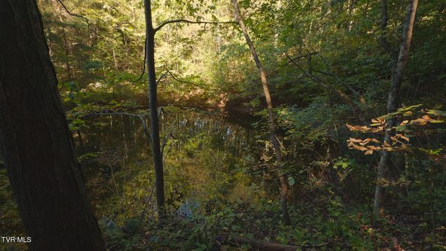 69.26 Acre Wolfe Road, Sneedville, TN 37869