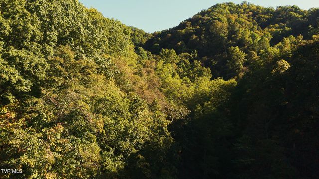 69.26 Acre Wolfe Road, Sneedville, TN 37869