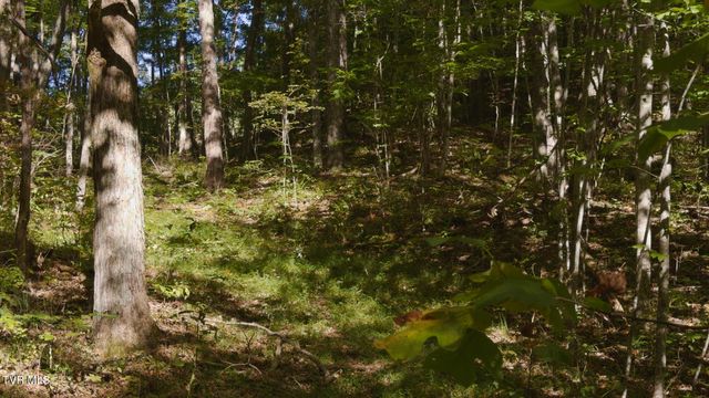 69.26 Acre Wolfe Road, Sneedville, TN 37869