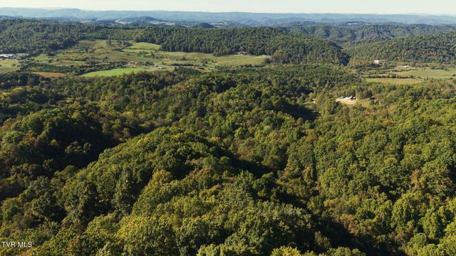 69.26 Acre Wolfe Road, Sneedville, TN 37869