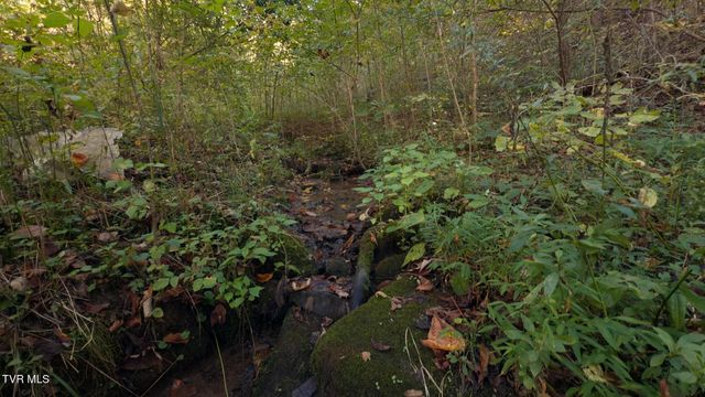 69.26 Acre Wolfe Road, Sneedville, TN 37869