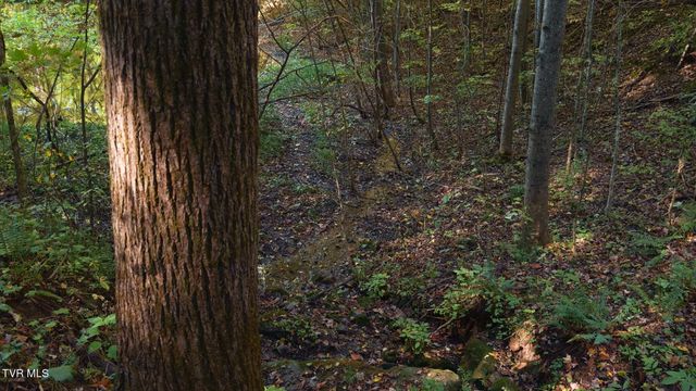 69.26 Acre Wolfe Road, Sneedville, TN 37869