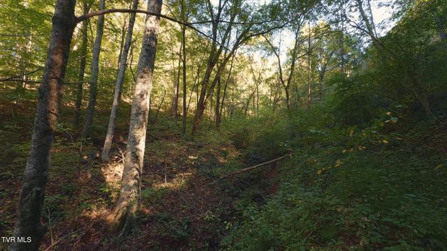 69.26 Acre Wolfe Road, Sneedville, TN 37869
