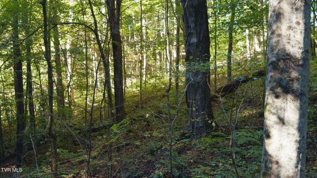 69.26 Acre Wolfe Road, Sneedville, TN 37869