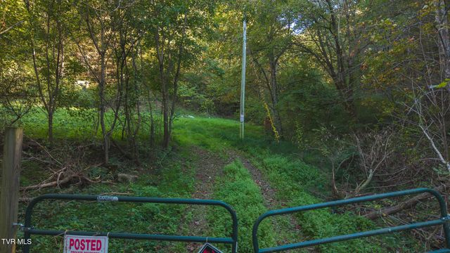 69.26 Acre Wolfe Road, Sneedville, TN 37869